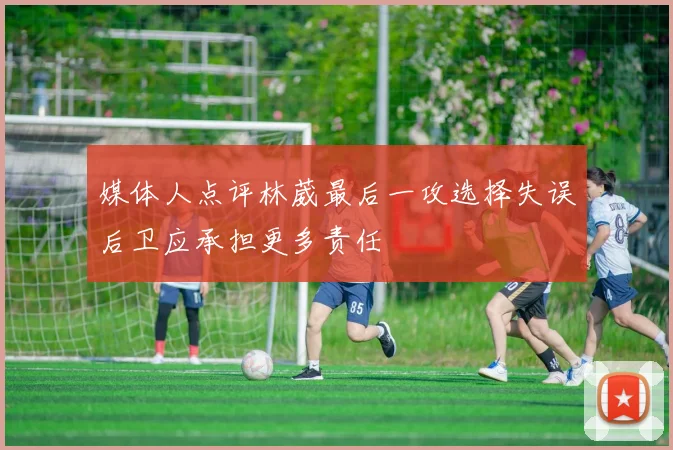 媒体人点评林葳最后一攻选择失误后卫应承担更多责任