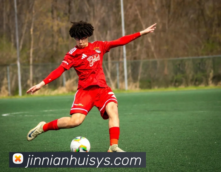 金年会平台生态图